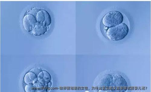 输卵管堵塞的女性，为什么医生建议直接做试管婴儿呢？