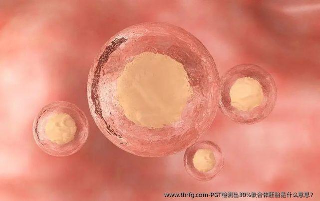 PGT检测出30%嵌合体胚胎是什么意思？