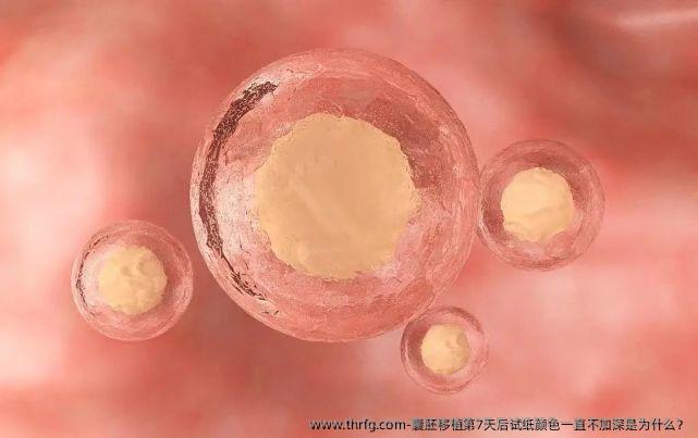 囊胚移植第7天后试纸颜色一直不加深是为什么？