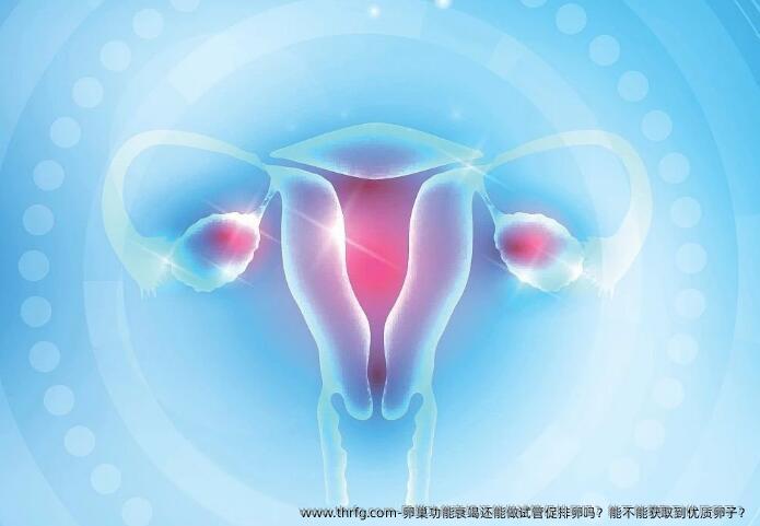 卵巢功能衰竭还能做试管促排卵吗？能不能获取到优质卵子？