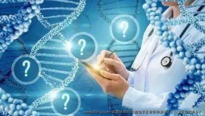 试管怀孕30天相当于正常怀孕多少天？hcg应该到多少？