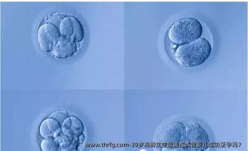 39岁高龄女性能通过试管婴儿成功受孕吗？