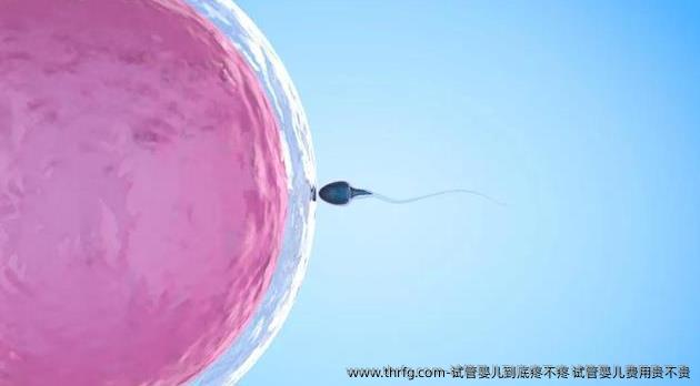 试管婴儿到底疼不疼 试管婴儿费用贵不贵