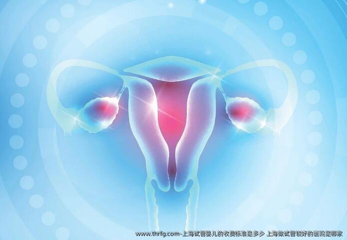 上海试管婴儿的收费标准是多少 上海做试管较好的医院是哪家
