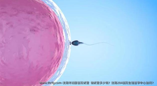 沈阳市妇婴医院试管  做试管多少钱？沈阳204医院生殖医学中心如何？
