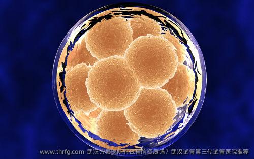武汉方泰医院有试管的资质吗？武汉试管第三代试管医院推荐