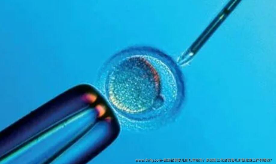 泰国试管婴儿的几率高吗?泰国第三代试管婴儿前期准备工作有哪些?