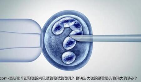 昆明哪个正规医院可以试管做试管婴儿？昆明云大医院试管婴儿费用大约多少？
