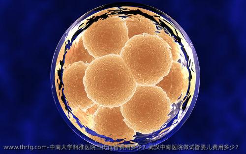 中南大学湘雅医院三代试管费用多少？武汉中南医院做试管婴儿费用多少？
