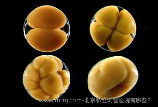北京私立试管医院有哪些？