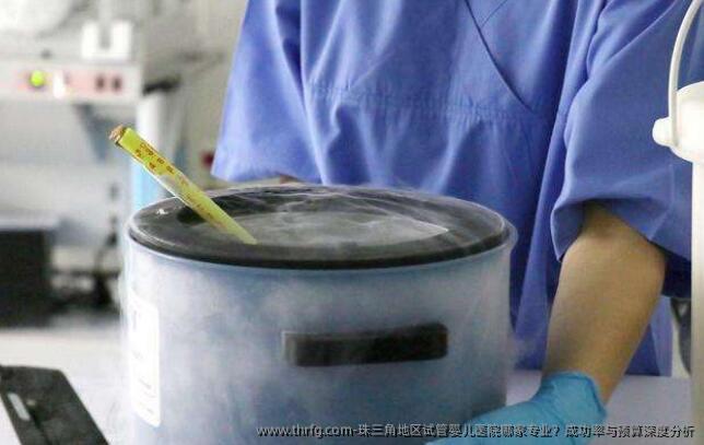 珠三角地区试管婴儿医院哪家专业？成功率与预算深度分析
