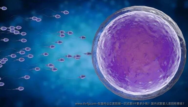 在国内公立医院做一次试管IVF要多少钱?国内试管婴儿医院有哪些?