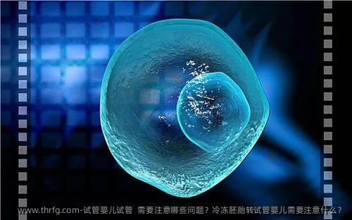 试管婴儿试管  需要注意哪些问题？冷冻胚胎转试管婴儿需要注意什么？