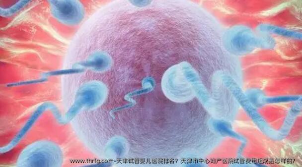 天津试管婴儿医院排名？天津市中心妇产医院试管费用组成是怎样的？