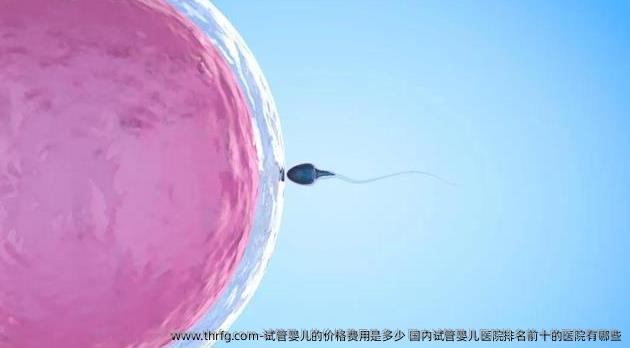 试管婴儿的价格费用是多少 国内试管婴儿医院排名前十的医院有哪些
