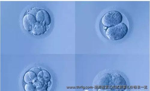 陕西省第三代试管婴儿价格表一览