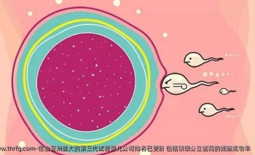佐治亚州最大的第三代试管婴儿公司排名已更新 包括优秀公立医院的妊娠成功率