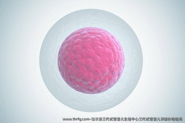 哈尔滨三代试管婴儿生殖中心三代试管婴儿详细价格指南