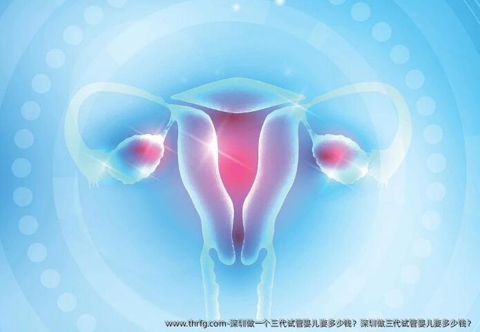 深圳做一个三代试管婴儿要多少钱？深圳做三代试管婴儿要多少钱？