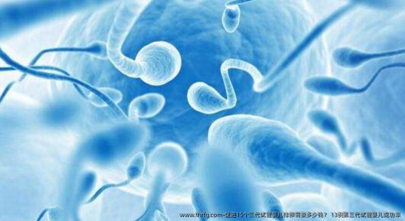 促进15个三特需需要多少钱？ 13例第三代试管婴儿成功率