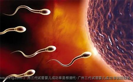 广州三代试管婴儿成功率是根据代-广州三代试管婴儿成功率医院排名