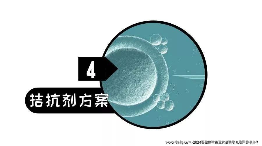 2024石家庄年份三代试管婴儿费用是多少？