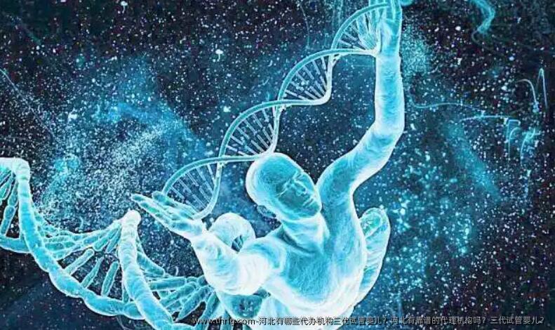 河北有哪些代办机构三代试管婴儿？河北有靠谱的代理机构吗？三代试管婴儿？