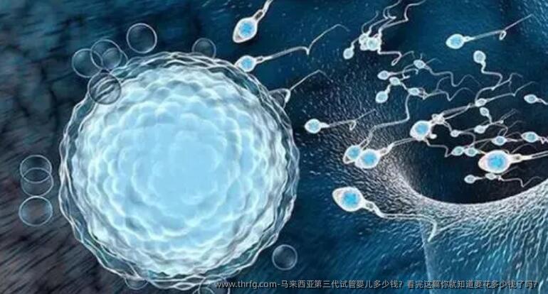 马来西亚第三代试管婴儿多少钱？看完这篇你就知道要花多少钱了吗？