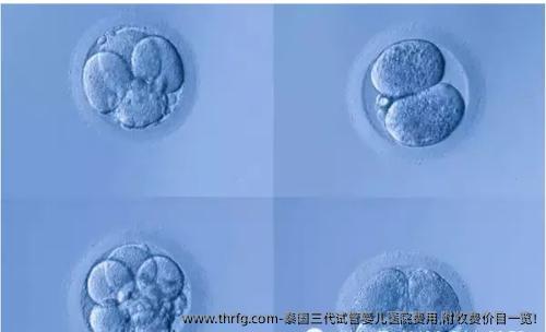 泰国三代试管婴儿医院费用,附收费价目一览!