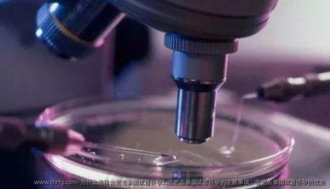 为什么选择合肥去泰国试管怀孕？合肥去泰国试管怀孕的注意事项，合肥去泰国试管怀孕的优势