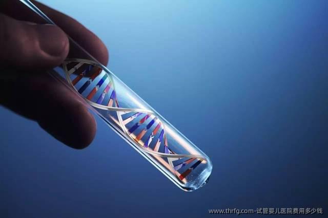 试管婴儿医院费用多少钱