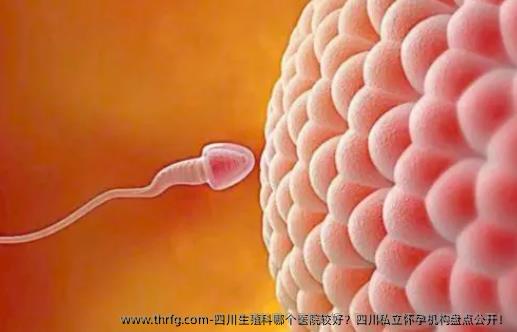 四川生殖科哪个医院较好？四川私立怀孕机构盘点公开！