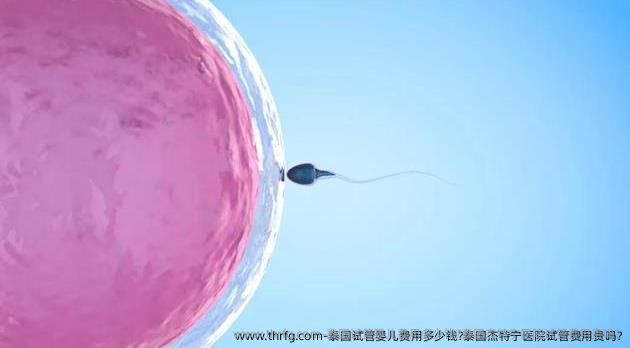 泰国试管婴儿费用多少钱?泰国杰特宁医院试管费用贵吗?