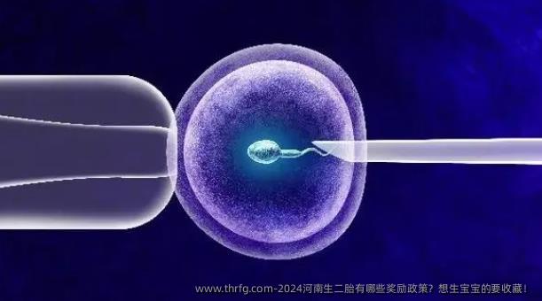 2024河南生二胎有哪些奖励政策？想生宝宝的要收藏！