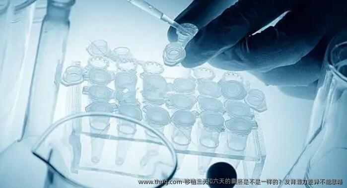 移植三天和六天的囊胚是不是一样的？发育潜力差异不能忽略