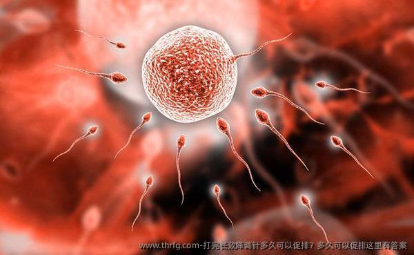 打完长效降调针多久可以促排？多久可以促排这里有答案