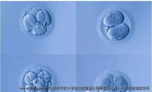 2024西宁红十字医院试管婴儿怀孕率高不高？一次试管能成功吗