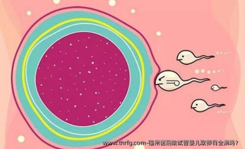 福州医院做试管婴儿卵泡取出有全麻吗？