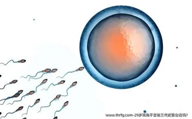 29岁残角子宫做三代试管合适吗？