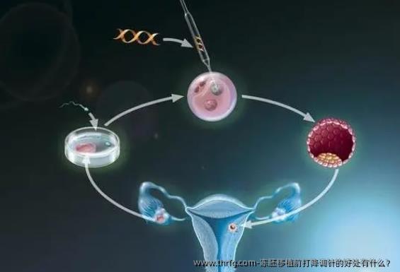 冻胚移植前打降调针的好处有什么？