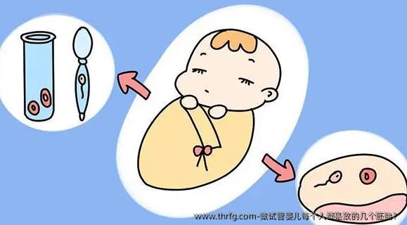 做试管婴儿每个人都是放的几个胚胎？