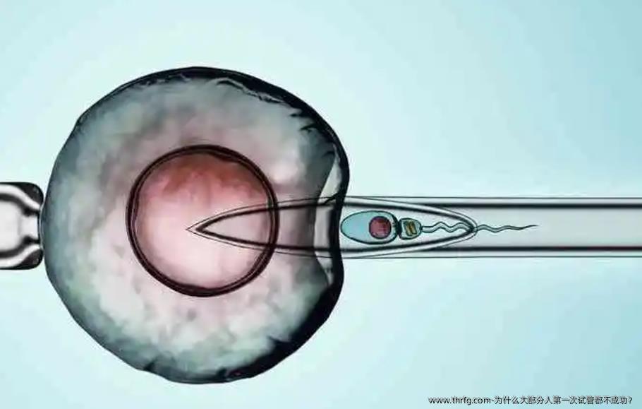 为什么大部分人第一次试管都不成功？