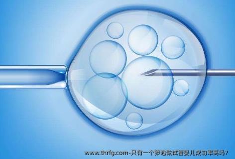 只有一个卵泡做试管婴儿成功率高吗？