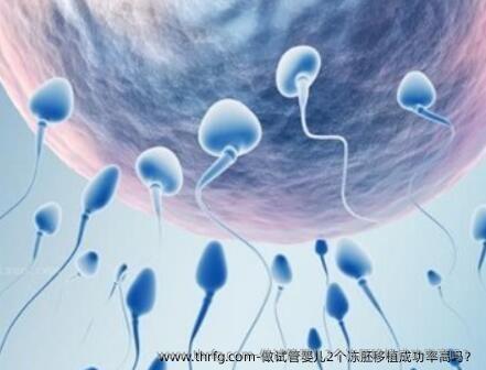 做试管婴儿2个冻胚移植成功率高吗？