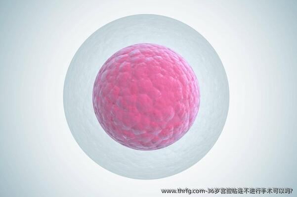 36岁宫腔粘连不进行手术可以吗?
