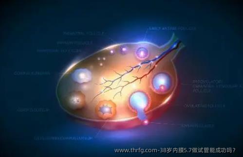 38岁内膜5.7做试管能成功吗？