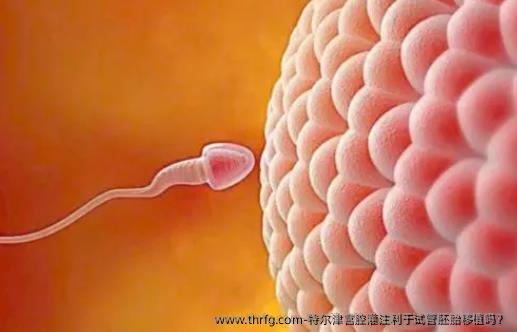 特尔津宫腔灌注利于试管胚胎移植吗？