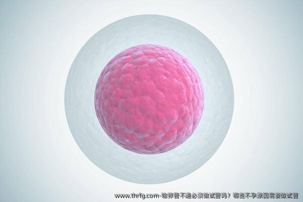输卵管不通必须做试管吗？哪些不孕原因需要做试管