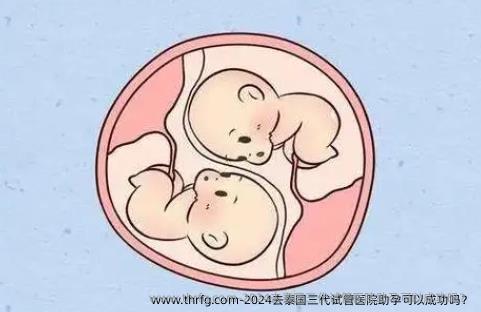 2024去泰国三代试管医院助孕可以成功吗？