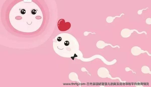 三代泰国试管婴儿的真实成功率和平均费用情况